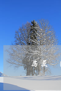 房屋轉(zhuǎn)讓合同模板