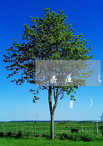 房屋轉(zhuǎn)讓合同范本(農(nóng)村土地房屋轉(zhuǎn)讓合同范本)