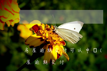 房屋逾期交付可以申請(qǐng)退房（房屋逾期交付）