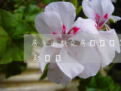 房屋逾期交房訴訟書怎么寫（逾期交房怎么寫起訴書）