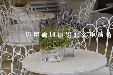 房屋逾期辦證怎么中斷時效