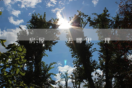 房屋過戶去哪里辦理