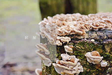 房屋過戶多少錢(80平方房屋過戶多少錢)