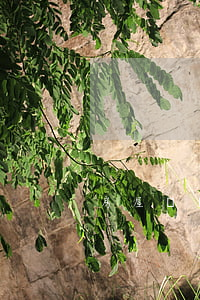 房屋遷讓糾紛(房屋遷讓糾紛起訴狀)