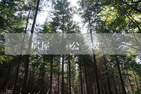 房屋遺囑公證收費嗎