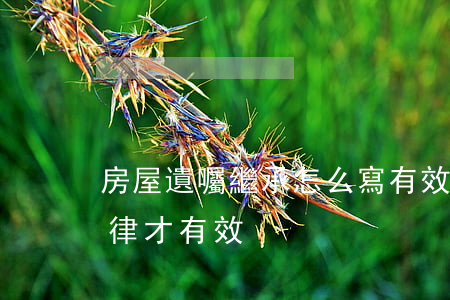 房屋遺囑繼承怎么寫有效(遺囑繼承怎么寫法律才有效)