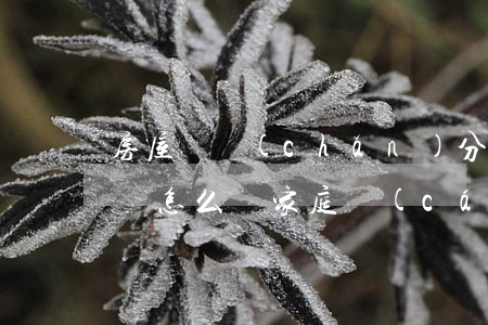 房屋遺產(chǎn)分割協(xié)議書怎么寫(家庭財(cái)產(chǎn)分割協(xié)議書和遺囑)