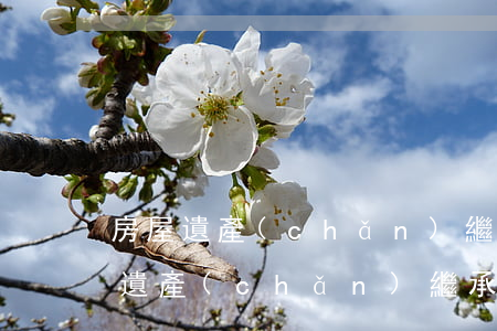 房屋遺產(chǎn)繼承法細(xì)則遺產(chǎn)繼承法(民法典關(guān)于遺產(chǎn)繼承的規(guī)定)