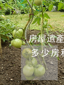 房屋遺產(chǎn)繼承費(fèi)用多少(房租遺產(chǎn)繼承費(fèi)用)