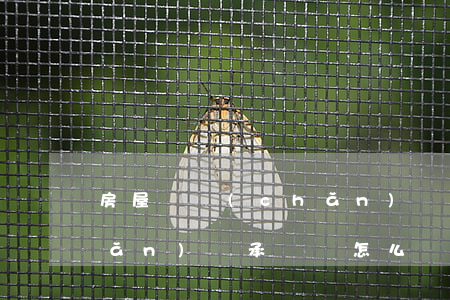 房屋遺產(chǎn)繼承過戶(房產(chǎn)繼承過戶怎么辦理)