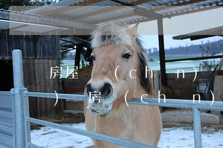 房屋遺產(chǎn)繼承遺產(chǎn)稅(房產(chǎn)繼承 遺產(chǎn)稅)