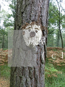 房屋遺產(chǎn)訴訟書怎么寫范文(遺產(chǎn)民事起訴狀范文)
