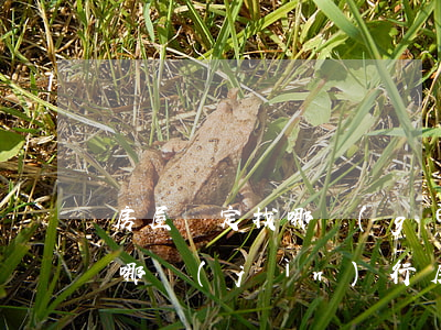 房屋鑒定找哪個(gè)部門(mén) 在哪進(jìn)行房屋鑒定（房屋質(zhì)量檢測(cè)項(xiàng)目）