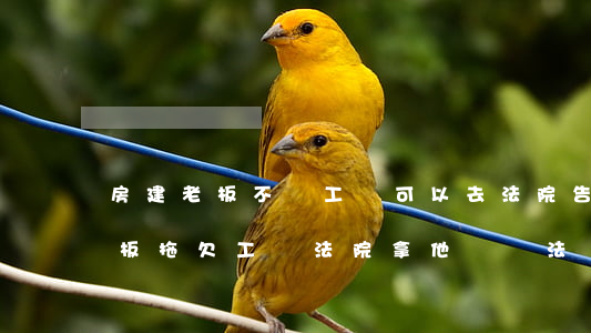 房建老板不給工資可以去法院告嗎(為什么老板拖欠工資法院拿他沒辦法)