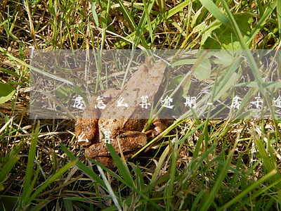 房怎么算逾期-房子逾期費(fèi)用怎么算