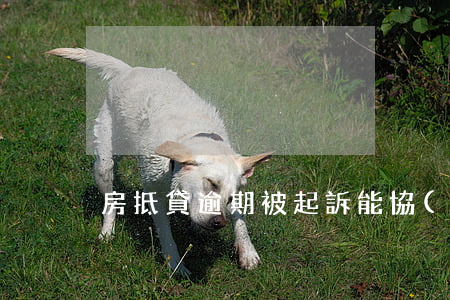 房抵貸逾期被起訴能協(xié)商嗎