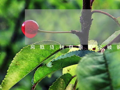 房抵贷利息逾期会被银行起诉吗