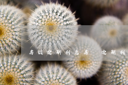 房抵逾期利息(房貸逾期利息)