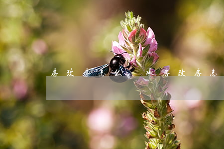 房改房怎么繼承(房改房怎么繼承)
