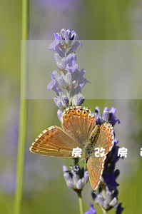 房改房政策(最高人民法院關于房改房政策)