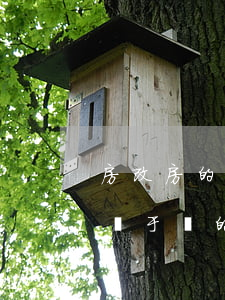房改房的產(chǎn)權(quán)是屬于誰的（我國的房改房有哪些產(chǎn)權(quán)狀態(tài)）