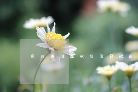 房有逾期還款后能貸款(逾期了還能貸款嗎)