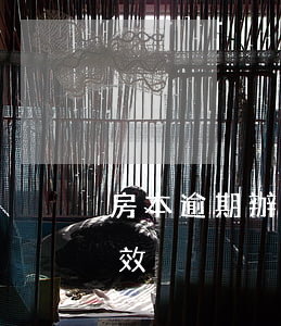 房本逾期辦理訴訟時效過了（房產逾期起訴時效）