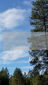房東怎么合法換鎖(房東怎么合法換鎖)
