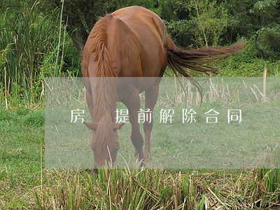 房東提前解除合同違約金怎么賠