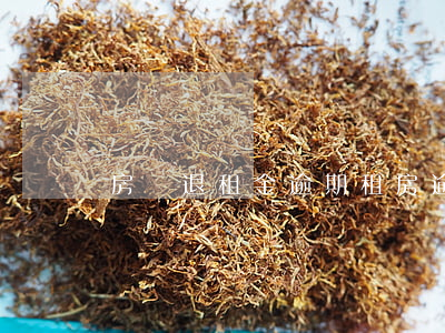 房東退租金逾期 租房逾期退房
