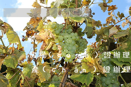 房權(quán)證辦理條件主要是什么（房產(chǎn)證辦理程序是什么）