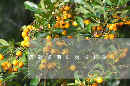 房款逾期6次被起訴