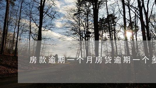 房款逾期一个月(房贷逾期一个多月的后果)