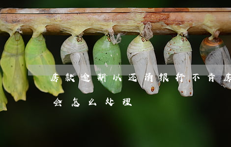 房款逾期以还清银行不肯(房贷逾期不还银行会怎么处理)