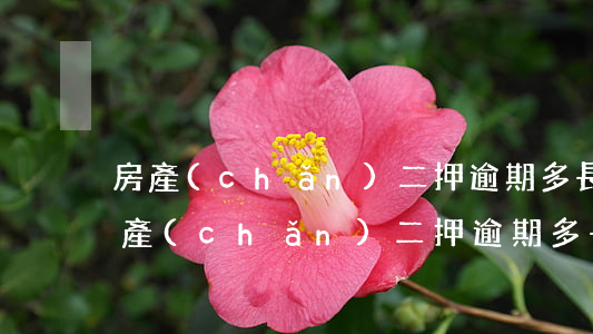 房產(chǎn)二押逾期多長時間起訴(房產(chǎn)二押逾期多長時間起訴)