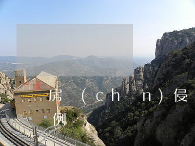 房產(chǎn)侵權(quán)賠償案例