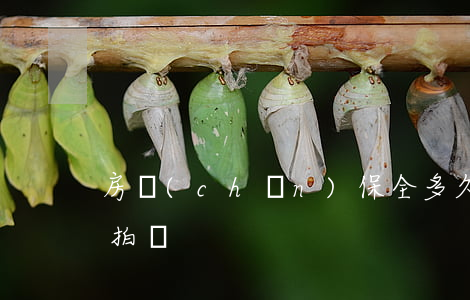 房產(chǎn)保全多久會(huì)被拍賣