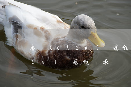 房產(chǎn)兒媳能繼承嗎(房產(chǎn)兒媳能繼承嗎)
