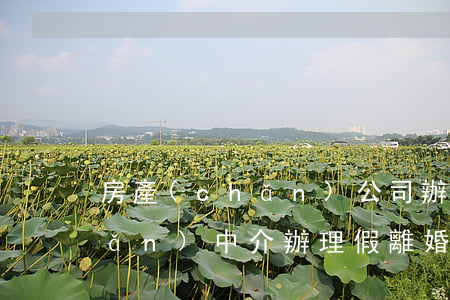 房產(chǎn)公司辦假離婚(房產(chǎn)中介辦理假離婚)