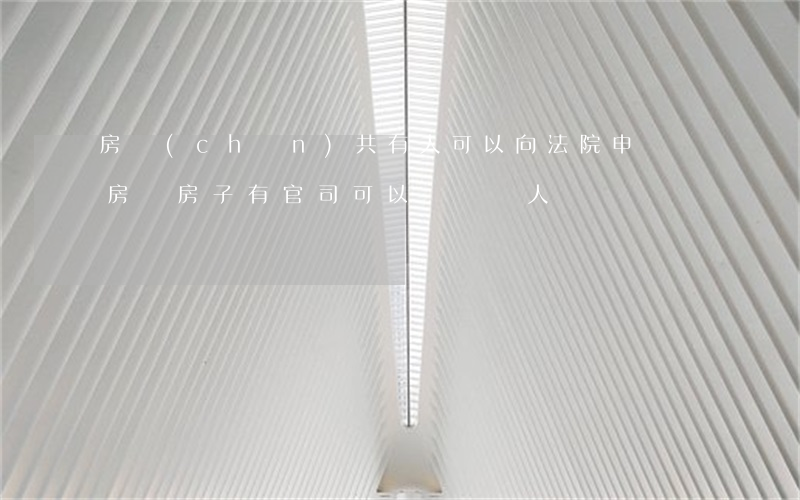 房產(chǎn)共有人可以向法院申請賣房嗎(房子有官司可以賣給別人嗎)