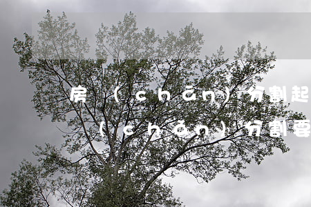 房產(chǎn)分割起訴費多少錢(起訴房產(chǎn)分割要多少訴訟費)