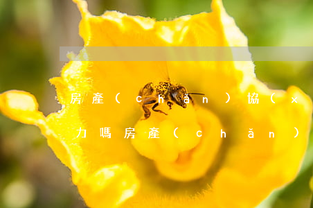 房產(chǎn)協(xié)議有法律效力嗎(房產(chǎn)協(xié)議有法律效力嗎對(duì)方不承認(rèn)了怎么辦)