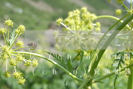 房產(chǎn)可以隔輩繼承嗎(繼承房產(chǎn)兄弟姐妹也可以有嗎)