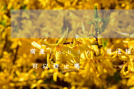 房產(chǎn)司法拍賣(mài)程序可以終止嗎