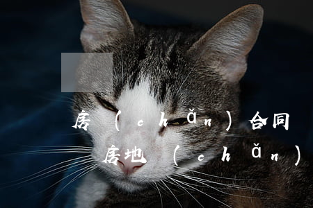 房產(chǎn)合同糾紛專業(yè)律師(房地產(chǎn)合同糾紛最強(qiáng)的律師事務(wù)所)