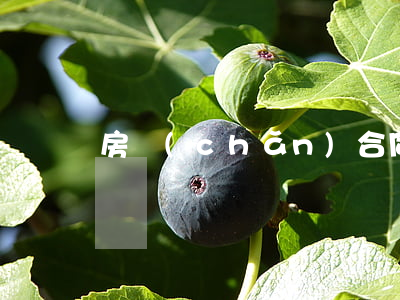 房產(chǎn)合同糾紛案件要多久