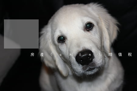 房產(chǎn)增值稅