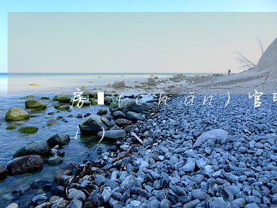 房產(chǎn)官司律師怎么收費(fèi)