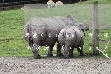 房產(chǎn)官司律師費(fèi)怎么收(房產(chǎn)律師費(fèi)用怎么收)