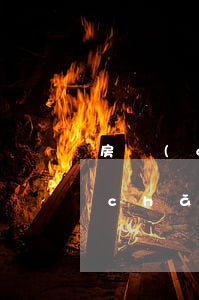 房產(chǎn)官司訴訟費怎么算(房產(chǎn)糾紛官司怎么收費)